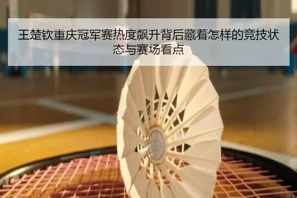王楚钦重庆冠军赛热度飙升背后藏着怎样的竞技状态与赛场看点